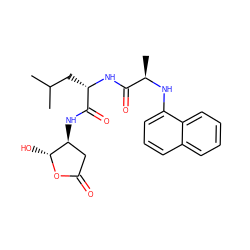 CC(C)C[C@H](NC(=O)[C@@H](C)Nc1cccc2ccccc12)C(=O)N[C@H]1CC(=O)O[C@@H]1O ZINC000013819323