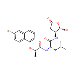 CC(C)C[C@H](NC(=O)[C@@H](C)Oc1cccc2cc(Br)ccc12)C(=O)N[C@H]1CC(=O)O[C@@H]1O ZINC000013819087