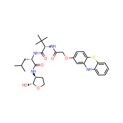 CC(C)C[C@H](NC(=O)[C@@H](NC(=O)COc1ccc2c(c1)Nc1ccccc1S2)C(C)(C)C)C(=O)N[C@H]1CCO[C@@H]1O ZINC000028572298