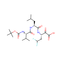 CC(C)C[C@H](NC(=O)[C@@H](NC(=O)OC(C)(C)C)C(C)C)C(=O)N[C@@H](CC(F)F)C(=O)C(=O)O ZINC000013439198