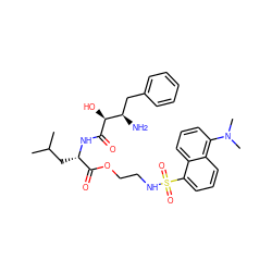 CC(C)C[C@H](NC(=O)[C@@H](O)[C@H](N)Cc1ccccc1)C(=O)OCCNS(=O)(=O)c1cccc2c(N(C)C)cccc12 ZINC000042920731