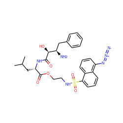 CC(C)C[C@H](NC(=O)[C@@H](O)[C@H](N)Cc1ccccc1)C(=O)OCCNS(=O)(=O)c1cccc2c(N=[N+]=[N-])cccc12 ZINC000044358608