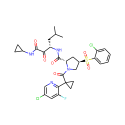 CC(C)C[C@H](NC(=O)[C@@H]1C[C@@H](S(=O)(=O)c2ccccc2Cl)CN1C(=O)C1(c2ncc(Cl)cc2F)CC1)C(=O)C(=O)NC1CC1 ZINC000169702138
