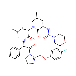 CC(C)C[C@H](NC(=O)[C@H](CC(C)C)NC(=O)N1CCOCC1)C(=O)N[C@H](C(=O)N1CCN=C1COc1ccc(F)cc1)c1ccccc1 ZINC000299860390