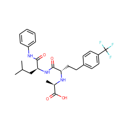 CC(C)C[C@H](NC(=O)[C@H](CCc1ccc(C(F)(F)F)cc1)N[C@H](C)C(=O)O)C(=O)Nc1ccccc1 ZINC000026485007