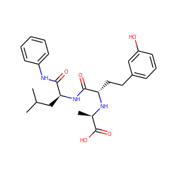 CC(C)C[C@H](NC(=O)[C@H](CCc1cccc(O)c1)N[C@H](C)C(=O)O)C(=O)Nc1ccccc1 ZINC000026490850