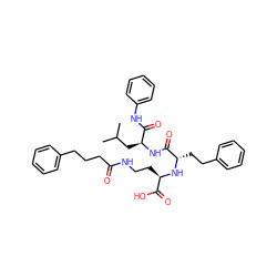 CC(C)C[C@H](NC(=O)[C@H](CCc1ccccc1)N[C@H](CCNC(=O)CCCc1ccccc1)C(=O)O)C(=O)Nc1ccccc1 ZINC000026982452