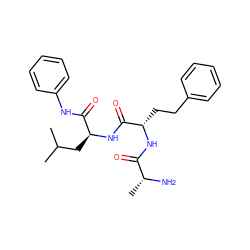 CC(C)C[C@H](NC(=O)[C@H](CCc1ccccc1)NC(=O)[C@@H](C)N)C(=O)Nc1ccccc1 ZINC000027428674