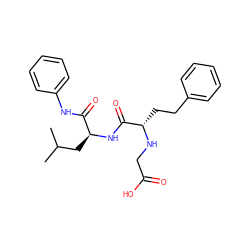 CC(C)C[C@H](NC(=O)[C@H](CCc1ccccc1)NCC(=O)O)C(=O)Nc1ccccc1 ZINC000027889046