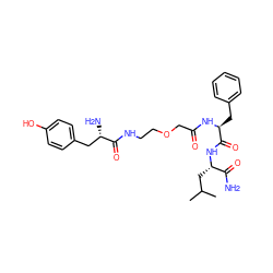 CC(C)C[C@H](NC(=O)[C@H](Cc1ccccc1)NC(=O)COCCNC(=O)[C@@H](N)Cc1ccc(O)cc1)C(N)=O ZINC000026483001