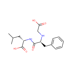 CC(C)C[C@H](NC(=O)[C@H](Cc1ccccc1)NCC(=O)O)C(=O)O ZINC000002391107