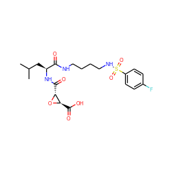 CC(C)C[C@H](NC(=O)[C@H]1O[C@@H]1C(=O)O)C(=O)NCCCCNS(=O)(=O)c1ccc(F)cc1 ZINC000096917587