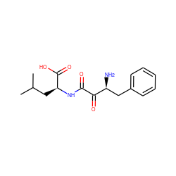 CC(C)C[C@H](NC(=O)C(=O)[C@@H](N)Cc1ccccc1)C(=O)O ZINC000013861269