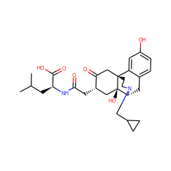 CC(C)C[C@H](NC(=O)C[C@H]1C[C@@]2(O)[C@H]3Cc4ccc(O)cc4[C@@]2(CCN3CC2CC2)CC1=O)C(=O)O ZINC000217090265