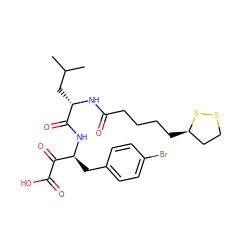 CC(C)C[C@H](NC(=O)CCCC[C@@H]1CCSS1)C(=O)N[C@@H](Cc1ccc(Br)cc1)C(=O)C(=O)O ZINC000028529133