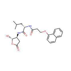 CC(C)C[C@H](NC(=O)CCOc1cccc2ccccc12)C(=O)N[C@H]1CC(=O)O[C@@H]1O ZINC000013819123