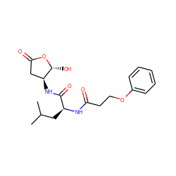 CC(C)C[C@H](NC(=O)CCOc1ccccc1)C(=O)N[C@H]1CC(=O)O[C@@H]1O ZINC000013819195