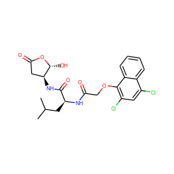 CC(C)C[C@H](NC(=O)COc1c(Cl)cc(Cl)c2ccccc12)C(=O)N[C@H]1CC(=O)O[C@@H]1O ZINC000013819159