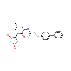 CC(C)C[C@H](NC(=O)COc1ccc(-c2ccccc2)cc1)C(=O)N[C@H]1CC(=O)O[C@@H]1O ZINC000013819217