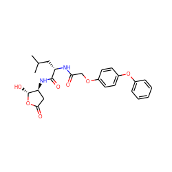 CC(C)C[C@H](NC(=O)COc1ccc(Oc2ccccc2)cc1)C(=O)N[C@H]1CC(=O)O[C@@H]1O ZINC000013819234