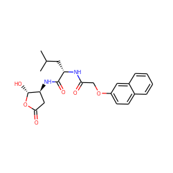 CC(C)C[C@H](NC(=O)COc1ccc2ccccc2c1)C(=O)N[C@H]1CC(=O)O[C@@H]1O ZINC000013819042