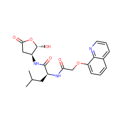 CC(C)C[C@H](NC(=O)COc1cccc2cccnc12)C(=O)N[C@H]1CC(=O)O[C@@H]1O ZINC000013819186