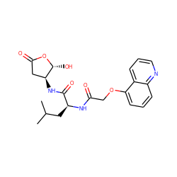 CC(C)C[C@H](NC(=O)COc1cccc2ncccc12)C(=O)N[C@H]1CC(=O)O[C@@H]1O ZINC000013819176