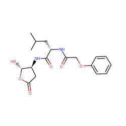 CC(C)C[C@H](NC(=O)COc1ccccc1)C(=O)N[C@H]1CC(=O)O[C@@H]1O ZINC000013819200