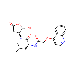 CC(C)C[C@H](NC(=O)COc1ccnc2ccccc12)C(=O)N[C@H]1CC(=O)O[C@@H]1O ZINC000013819170