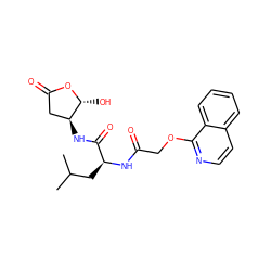 CC(C)C[C@H](NC(=O)COc1nccc2ccccc12)C(=O)N[C@H]1CC(=O)O[C@@H]1O ZINC000013819165