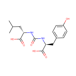 CC(C)C[C@H](NC(=O)N[C@@H](Cc1ccc(O)cc1)C(=O)O)C(=O)O ZINC000045393318