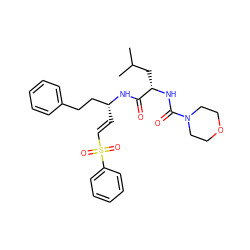 CC(C)C[C@H](NC(=O)N1CCOCC1)C(=O)N[C@H](/C=C/S(=O)(=O)c1ccccc1)CCc1ccccc1 ZINC000012503957