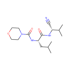 CC(C)C[C@H](NC(=O)N1CCOCC1)C(=O)N[C@H](C#N)C(C)C ZINC000013492516