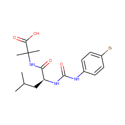 CC(C)C[C@H](NC(=O)Nc1ccc(Br)cc1)C(=O)NC(C)(C)C(=O)O ZINC000096916945