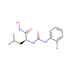 CC(C)C[C@H](NC(=O)Nc1ccccc1Br)C(=O)NO ZINC000095590753