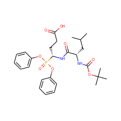 CC(C)C[C@H](NC(=O)OC(C)(C)C)C(=O)N[C@@H](CCC(=O)O)P(=O)(Oc1ccccc1)Oc1ccccc1 ZINC000096271151