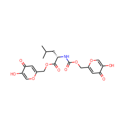 CC(C)C[C@H](NC(=O)OCc1cc(=O)c(O)co1)C(=O)OCc1cc(=O)c(O)co1 ZINC000028757472