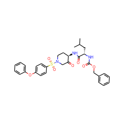 CC(C)C[C@H](NC(=O)OCc1ccccc1)C(=O)N[C@@H]1CCN(S(=O)(=O)c2ccc(Oc3ccccc3)cc2)CC1=O ZINC000004394346