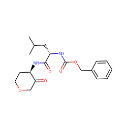 CC(C)C[C@H](NC(=O)OCc1ccccc1)C(=O)N[C@@H]1CCOCC1=O ZINC000013862018