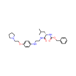 CC(C)C[C@H](NC(=O)OCc1ccccc1)C(=O)NCCNc1ccc(OCCN2CCCC2)cc1 ZINC000013490293