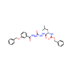 CC(C)C[C@H](NC(=O)OCc1ccccc1)C(=O)NNC(=O)NNC(=O)c1cccc(OCc2ccccc2)c1 ZINC000015283688