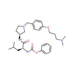 CC(C)C[C@H](NC(=O)Oc1ccccc1)C(=O)N[C@H]1CCN(Cc2ccc(OCCCN(C)C)cc2)C1 ZINC000028474097