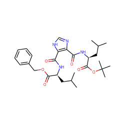 CC(C)C[C@H](NC(=O)c1[nH]cnc1C(=O)N[C@@H](CC(C)C)C(=O)OC(C)(C)C)C(=O)OCc1ccccc1 ZINC000015937379