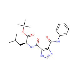 CC(C)C[C@H](NC(=O)c1[nH]cnc1C(=O)Nc1ccccc1)C(=O)OC(C)(C)C ZINC000013657464