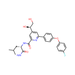 CC(C)C[C@H](NC(=O)c1cc([C@@H](O)CO)cc(-c2ccc(Oc3ccc(F)cc3)cc2)n1)C(N)=O ZINC000113663298
