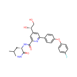 CC(C)C[C@H](NC(=O)c1cc([C@H](O)CO)cc(-c2ccc(Oc3ccc(F)cc3)cc2)n1)C(N)=O ZINC000113663301