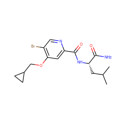 CC(C)C[C@H](NC(=O)c1cc(OCC2CC2)c(Br)cn1)C(N)=O ZINC000149213401