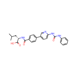 CC(C)C[C@H](NC(=O)c1ccc(-c2ccc(NC(=O)Nc3ccccc3)nc2)cc1)C(=O)O ZINC000072124779