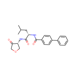 CC(C)C[C@H](NC(=O)c1ccc(-c2ccccc2)cc1)C(=O)N[C@@H]1COCC1=O ZINC000029569783