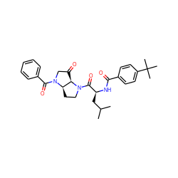 CC(C)C[C@H](NC(=O)c1ccc(C(C)(C)C)cc1)C(=O)N1CC[C@@H]2[C@H]1C(=O)CN2C(=O)c1ccccc1 ZINC000028135905